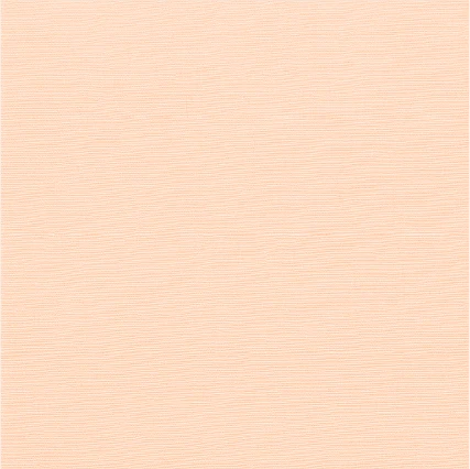 Tela-Lisa-Carne-0004
