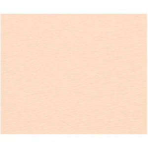 Tela-Lisa-Carne-0004-50x75cm